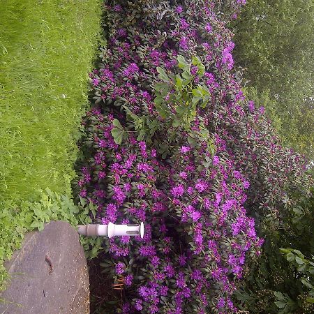 Buntes Moor Bed & Breakfast Grasberg Bagian luar foto