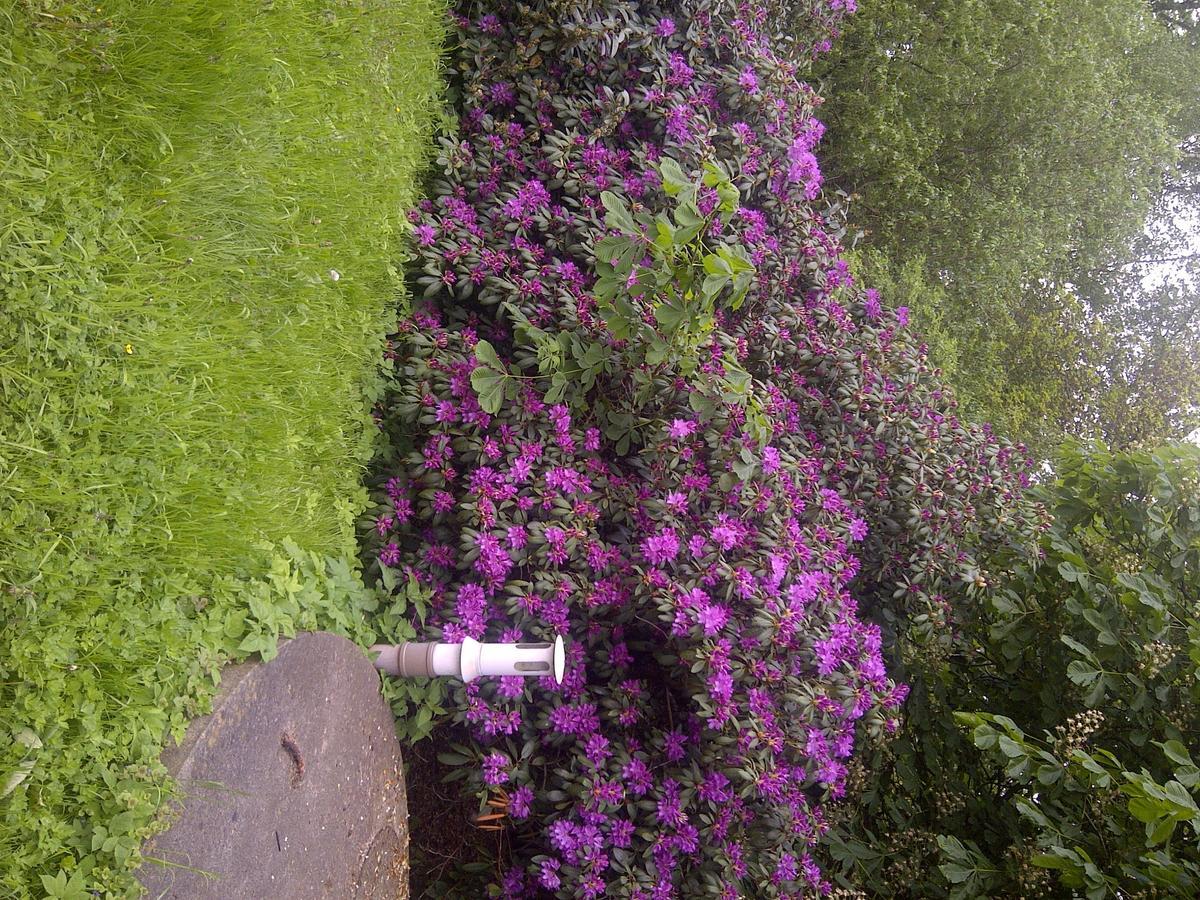 Buntes Moor Bed & Breakfast Grasberg Bagian luar foto